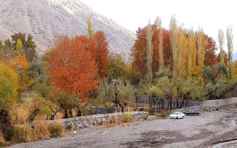 دهبکری مرکز بم شناسی